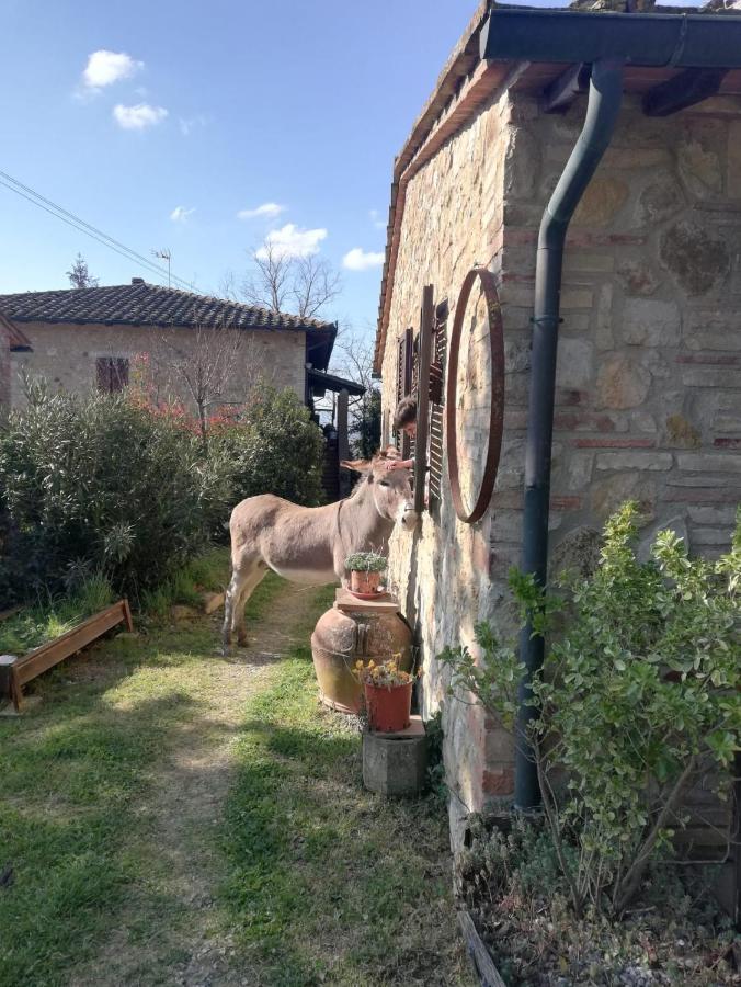 Agriturismo Grecinella カーゾレ・デルザ エクステリア 写真