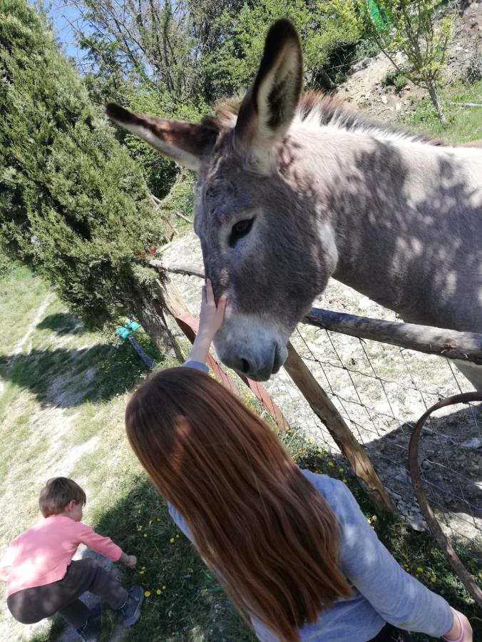 Agriturismo Grecinella カーゾレ・デルザ エクステリア 写真