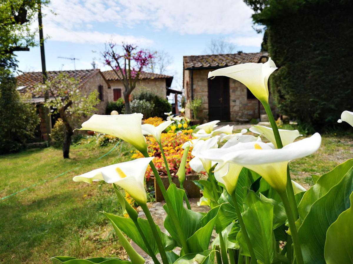 Agriturismo Grecinella カーゾレ・デルザ エクステリア 写真