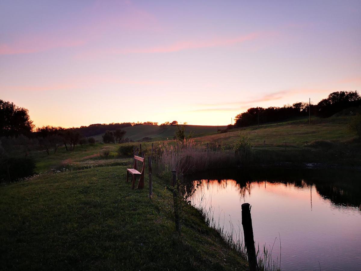 Agriturismo Grecinella カーゾレ・デルザ エクステリア 写真